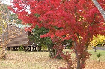 מלון בילפין Madison'S Mountain Retreat מראה חיצוני תמונה