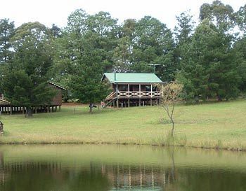 מלון בילפין Madison'S Mountain Retreat מראה חיצוני תמונה
