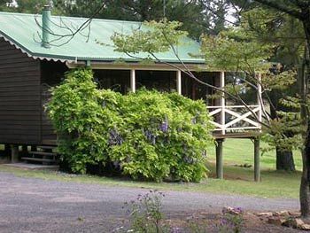 מלון בילפין Madison'S Mountain Retreat מראה חיצוני תמונה